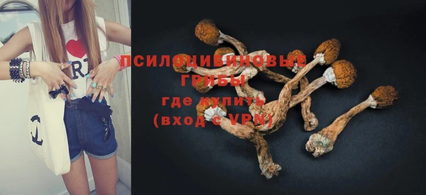 ПСИЛОЦИБИНОВЫЕ ГРИБЫ Киренск